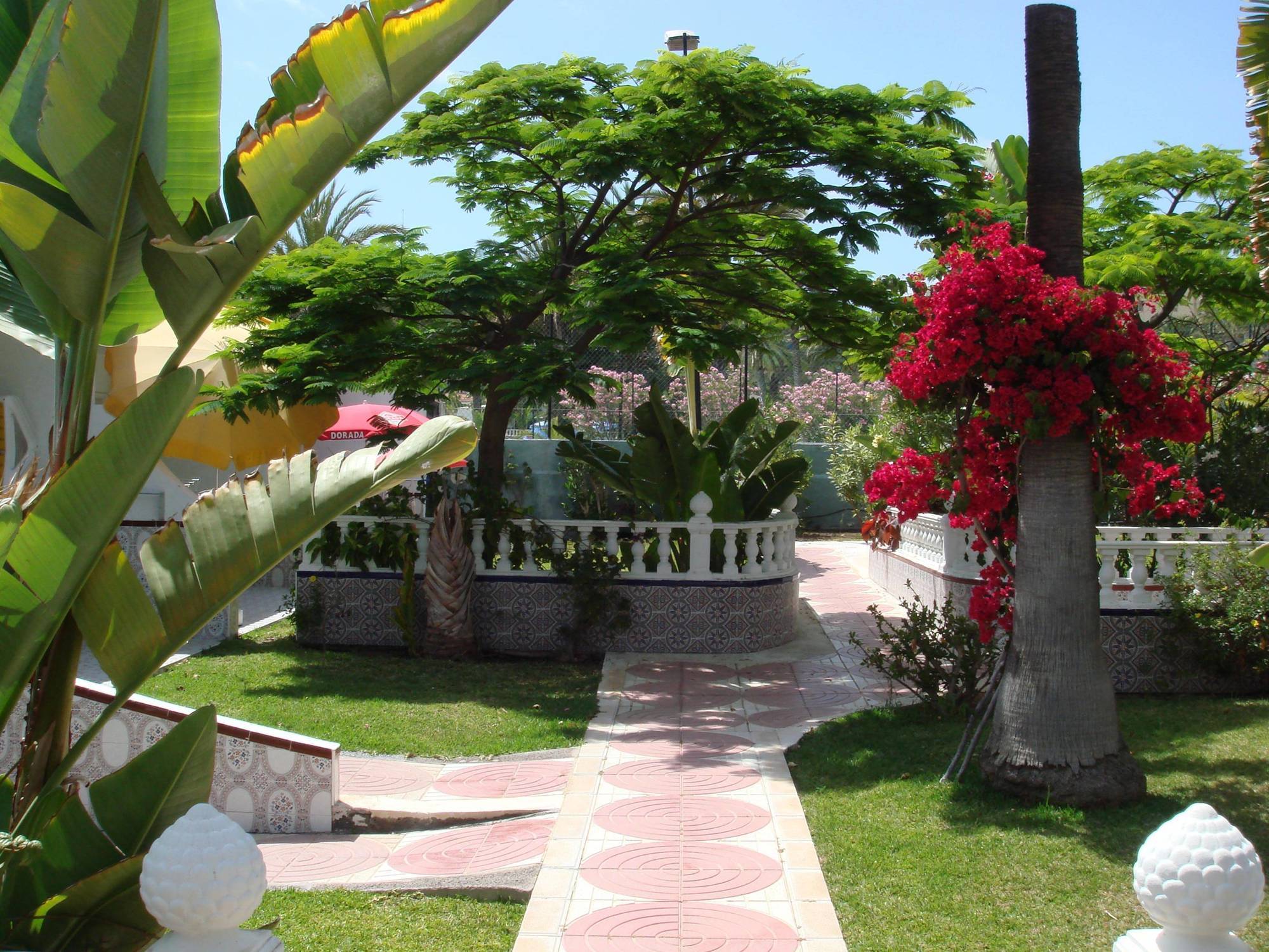 San Valentin & Terraflor Park Hotel Playa del Ingles  Exterior photo